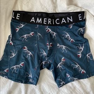 AE boxer briefs